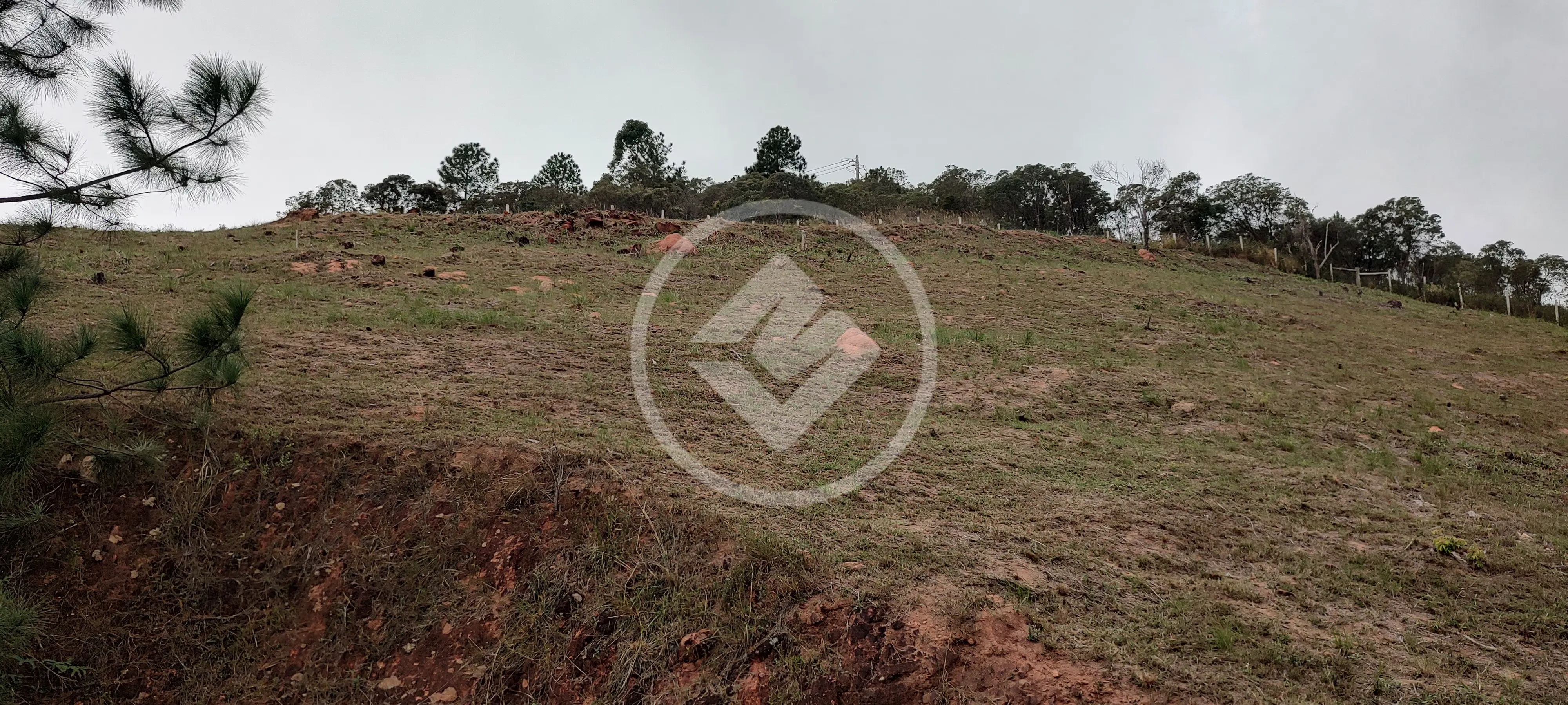 Imagem 6 - Terreno Condomínio em Pedro do Rio, Petrópolis - RJ