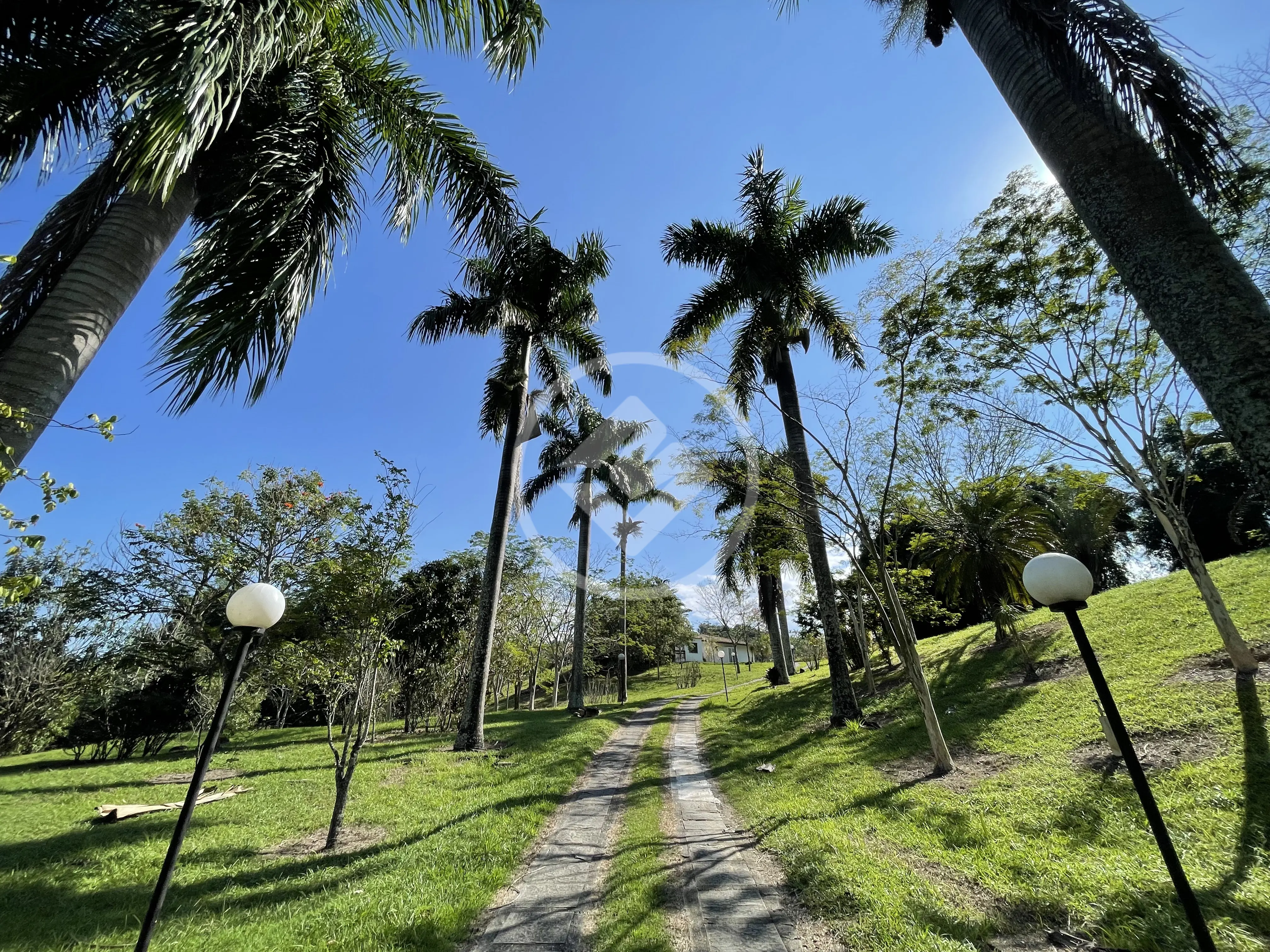 Imagem 5 - Fazenda em Maraporã, Cachoeiras de Macacu - RJ