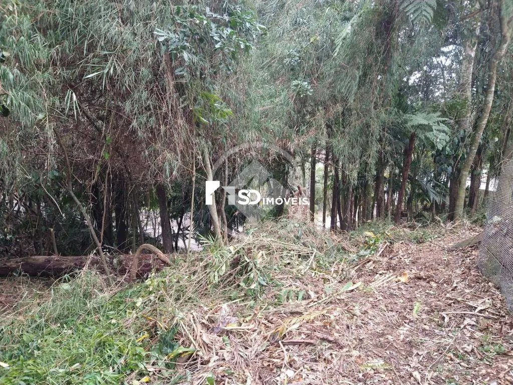 Imagem 5 - Terreno Condomínio em Carlos Guinle, Teresópolis - RJ
