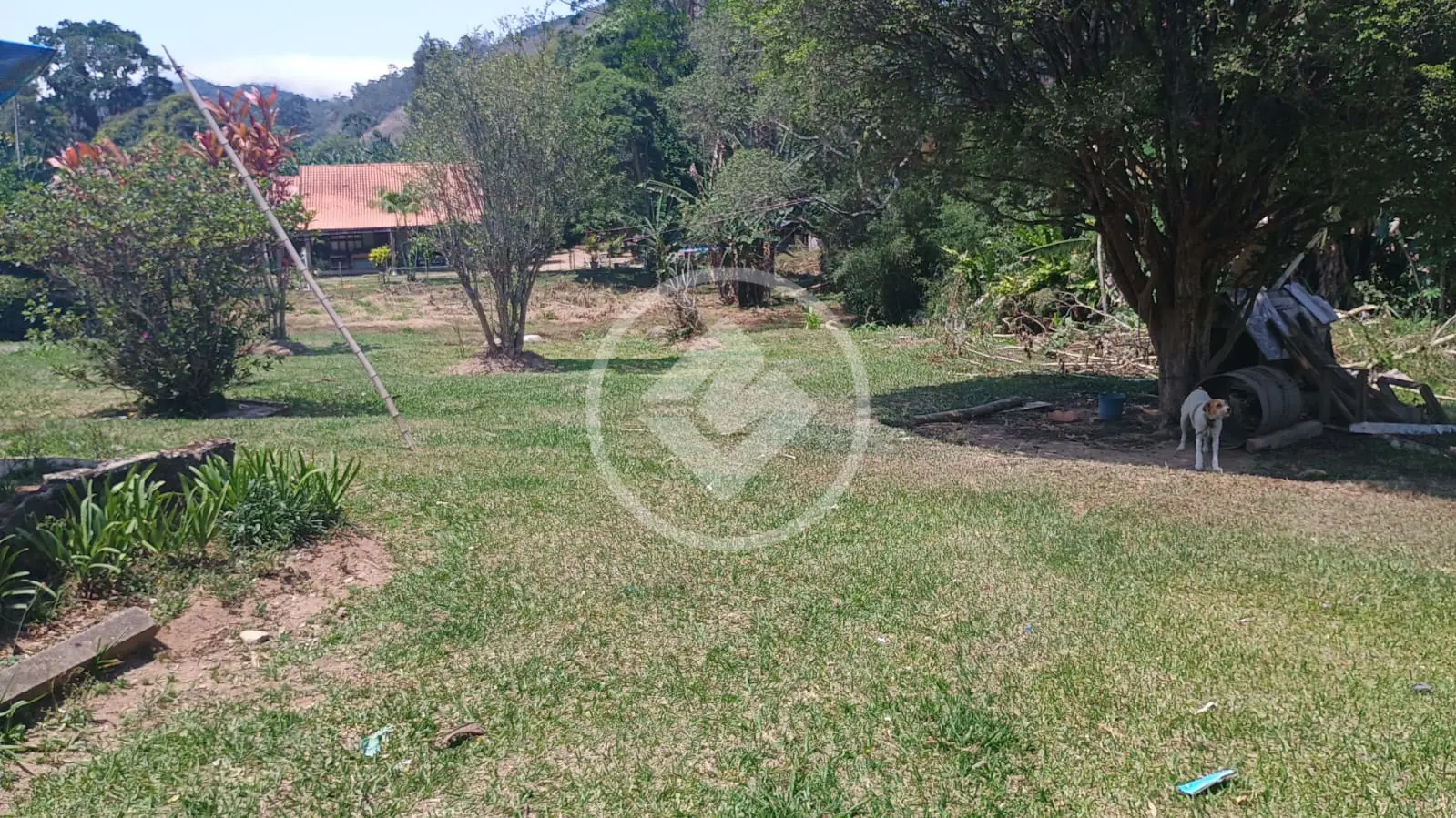 Imagem 4 - Sítio em Vargem Grande, Teresópolis - RJ