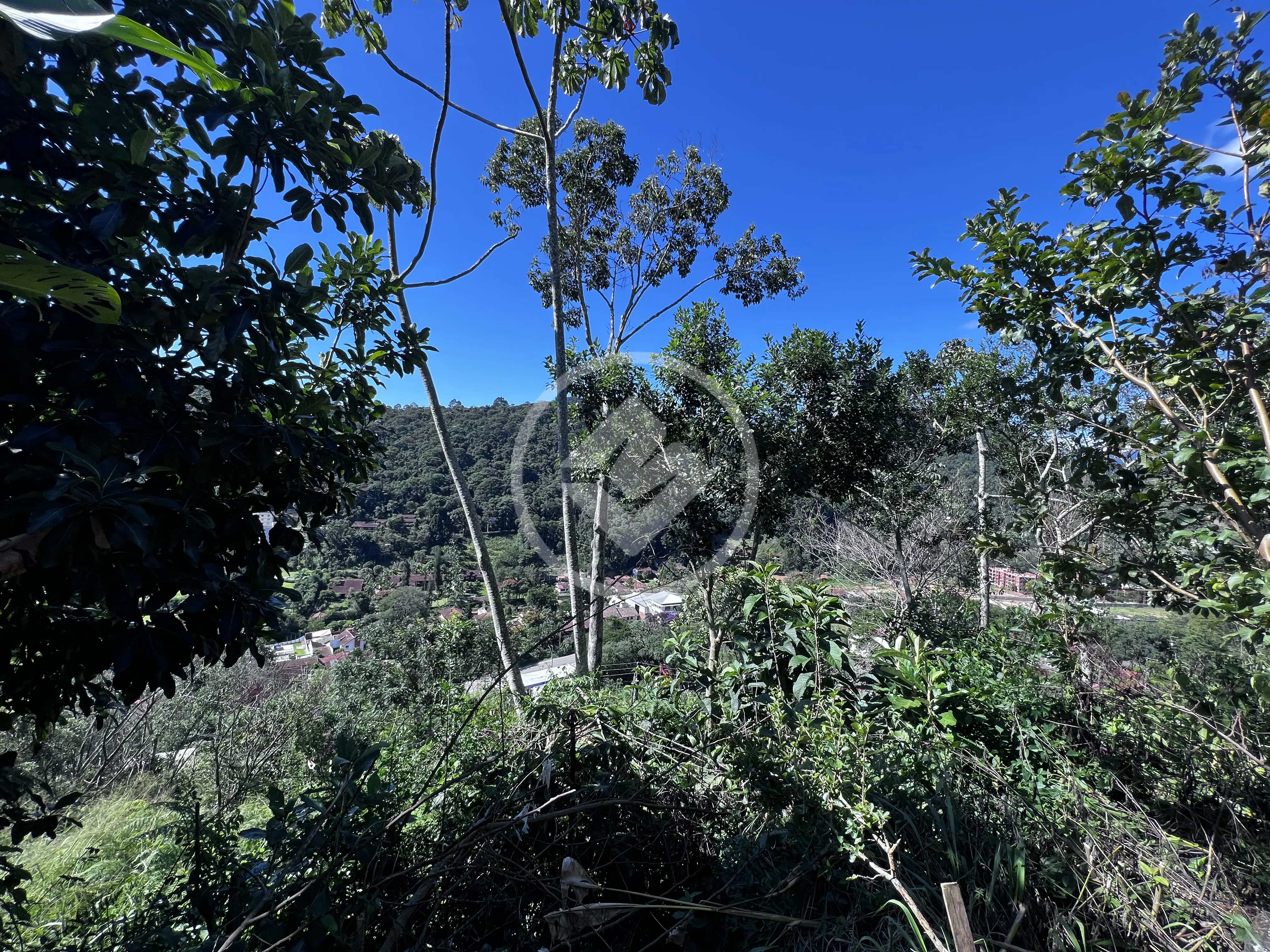 Imagem 2 - Terreno Condomínio em Albuquerque, Teresópolis - RJ