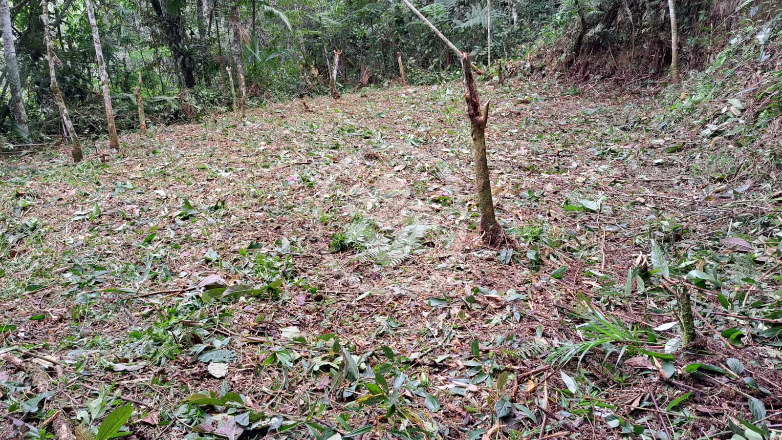 Imagem 1 - Terreno em Vargem Grande, Teresópolis - RJ