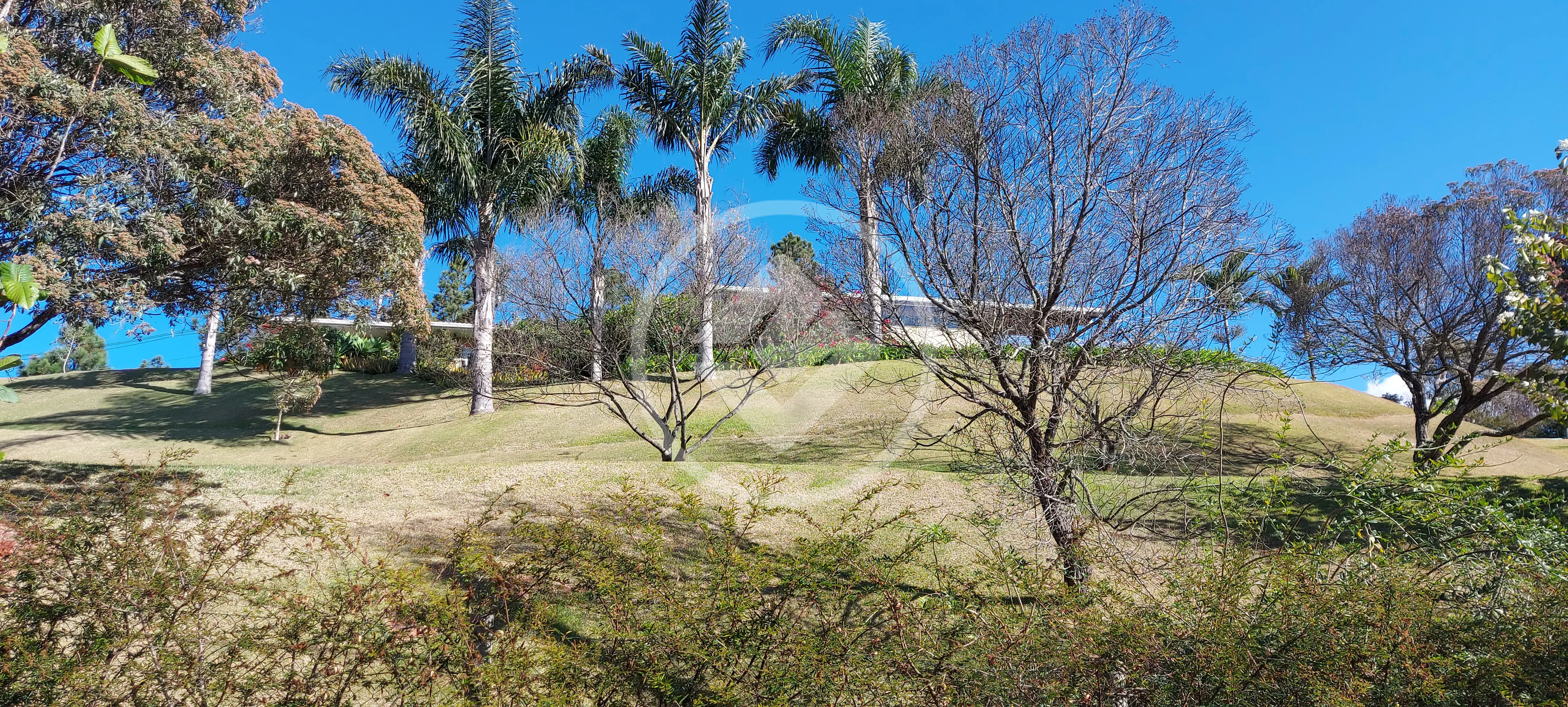 Imagem 1 - Terreno Condomínio em Pedro do Rio, Petrópolis - RJ