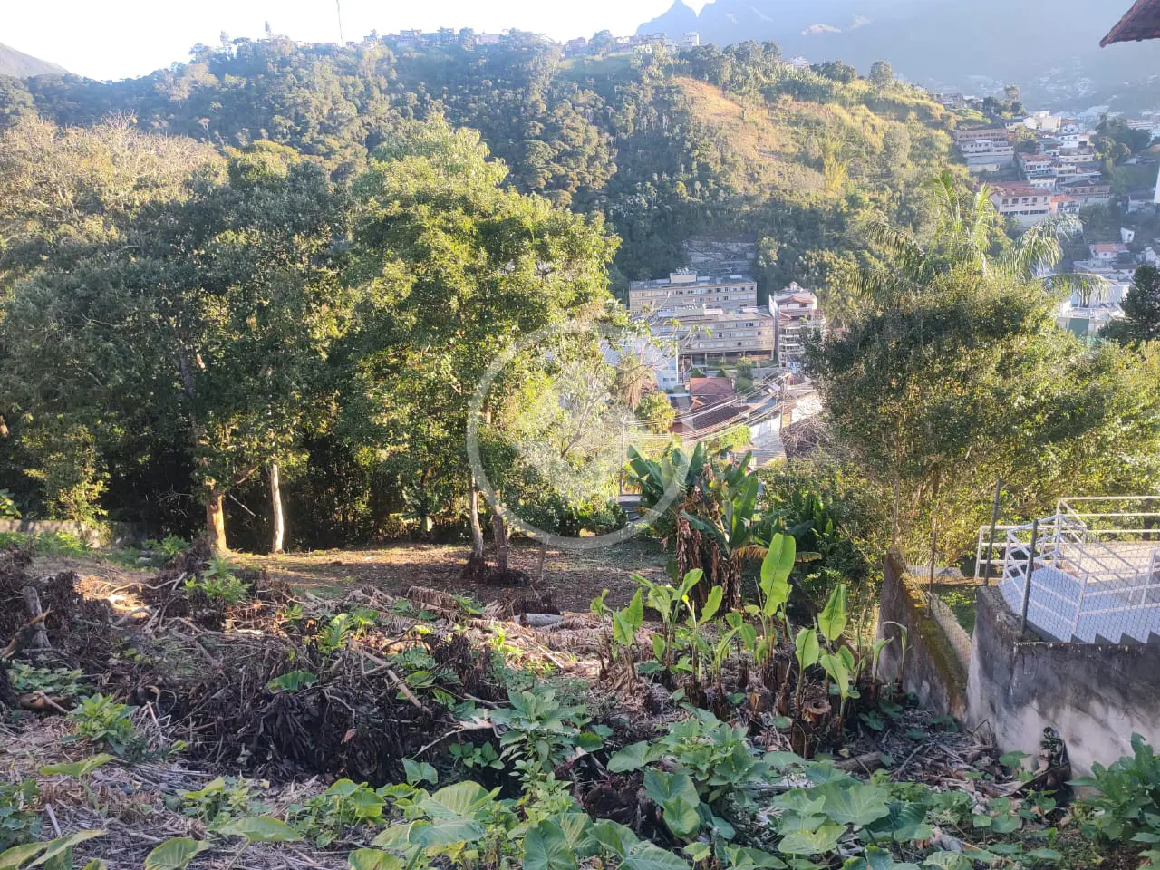 Imagem 6 - Terreno em Parque São Luiz, Teresópolis - RJ