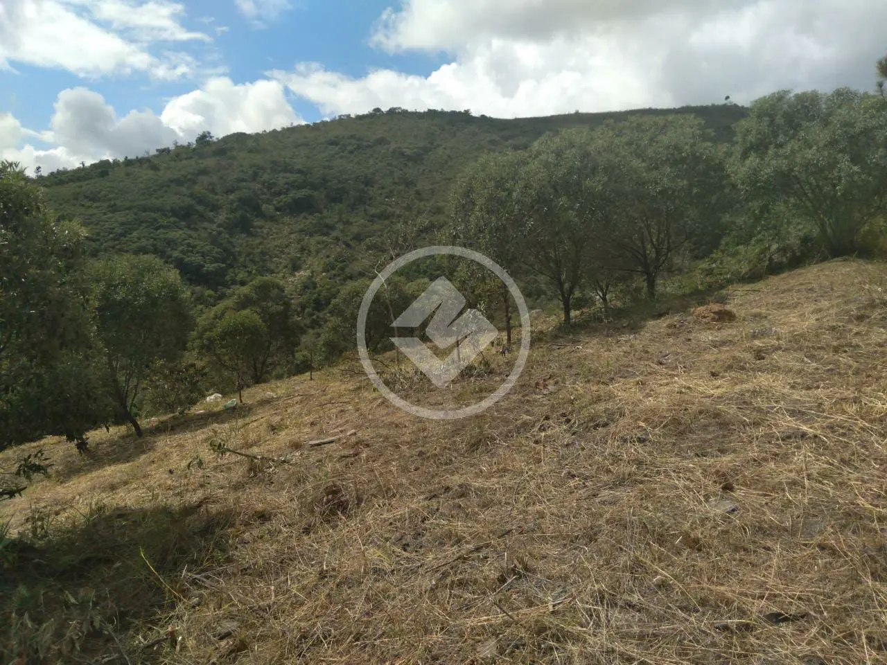 Imagem 3 - Terreno Condomínio em Pedro do Rio, Petrópolis - RJ