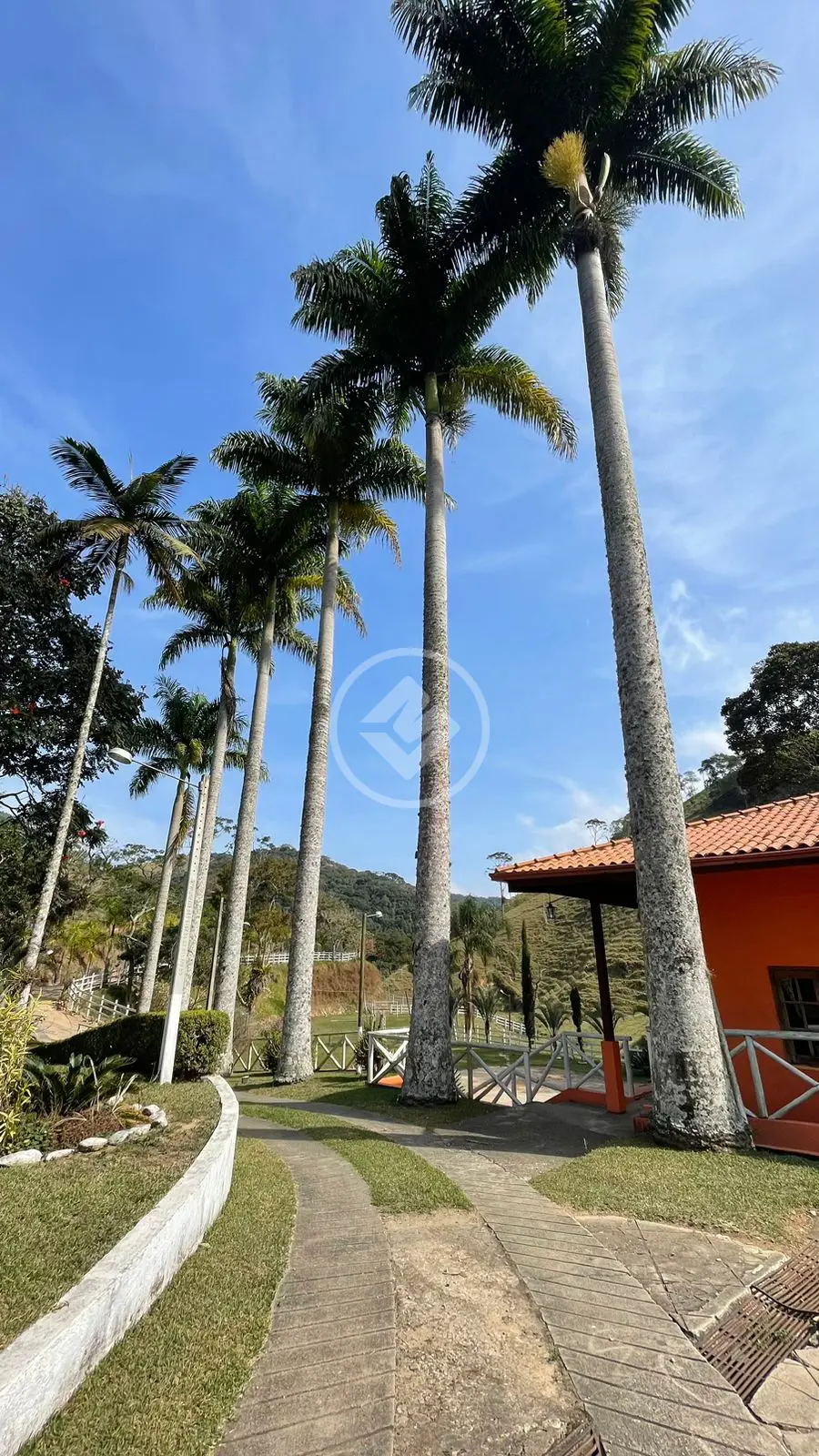 Imagem 1 - Fazenda em Vila do Pião, Sapucaia - RJ