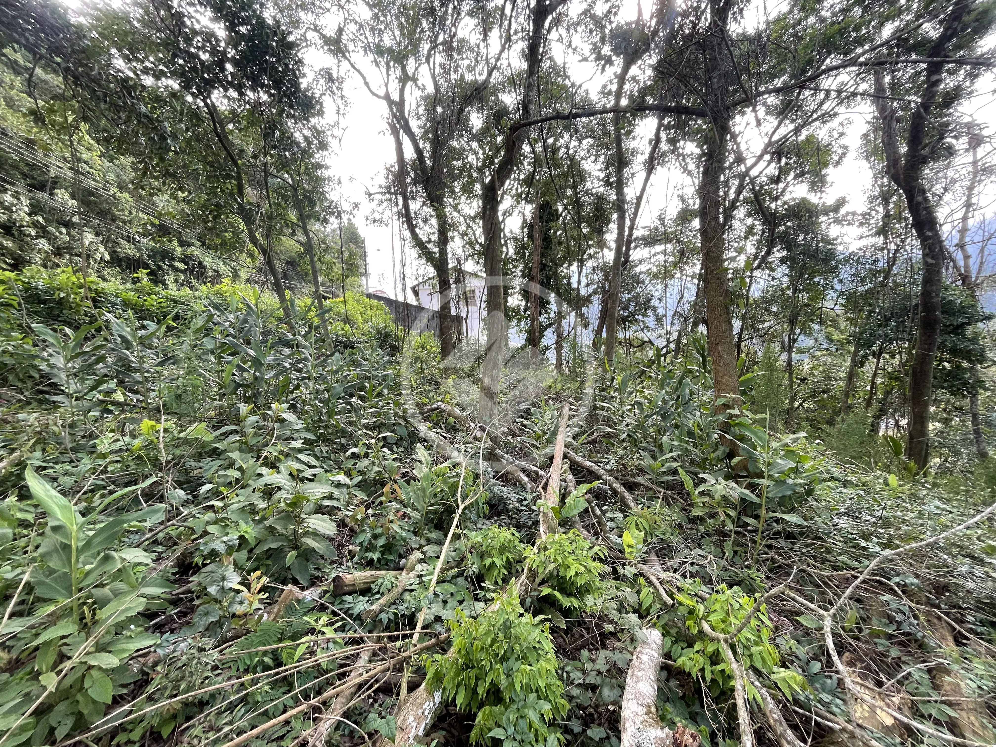 Imagem 6 - Terreno em Carlos Guinle, Teresópolis - RJ