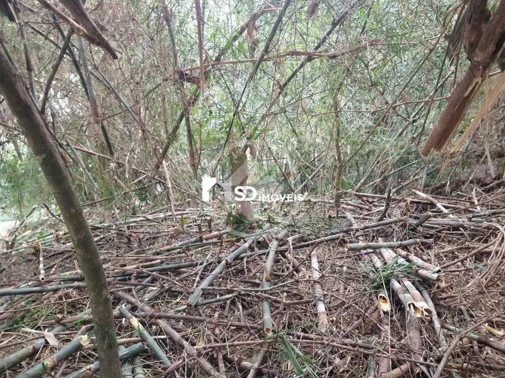 Imagem 1 - Terreno Condomínio em Carlos Guinle, Teresópolis - RJ