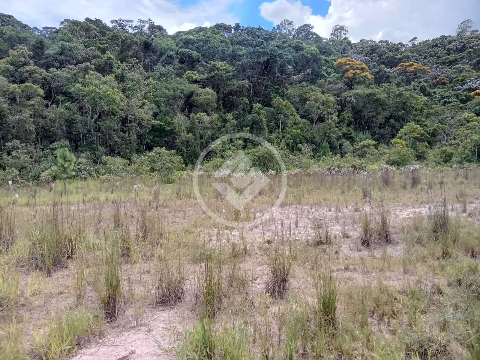Imagem 2 - Terreno em Fazenda Alpina, Teresópolis - RJ