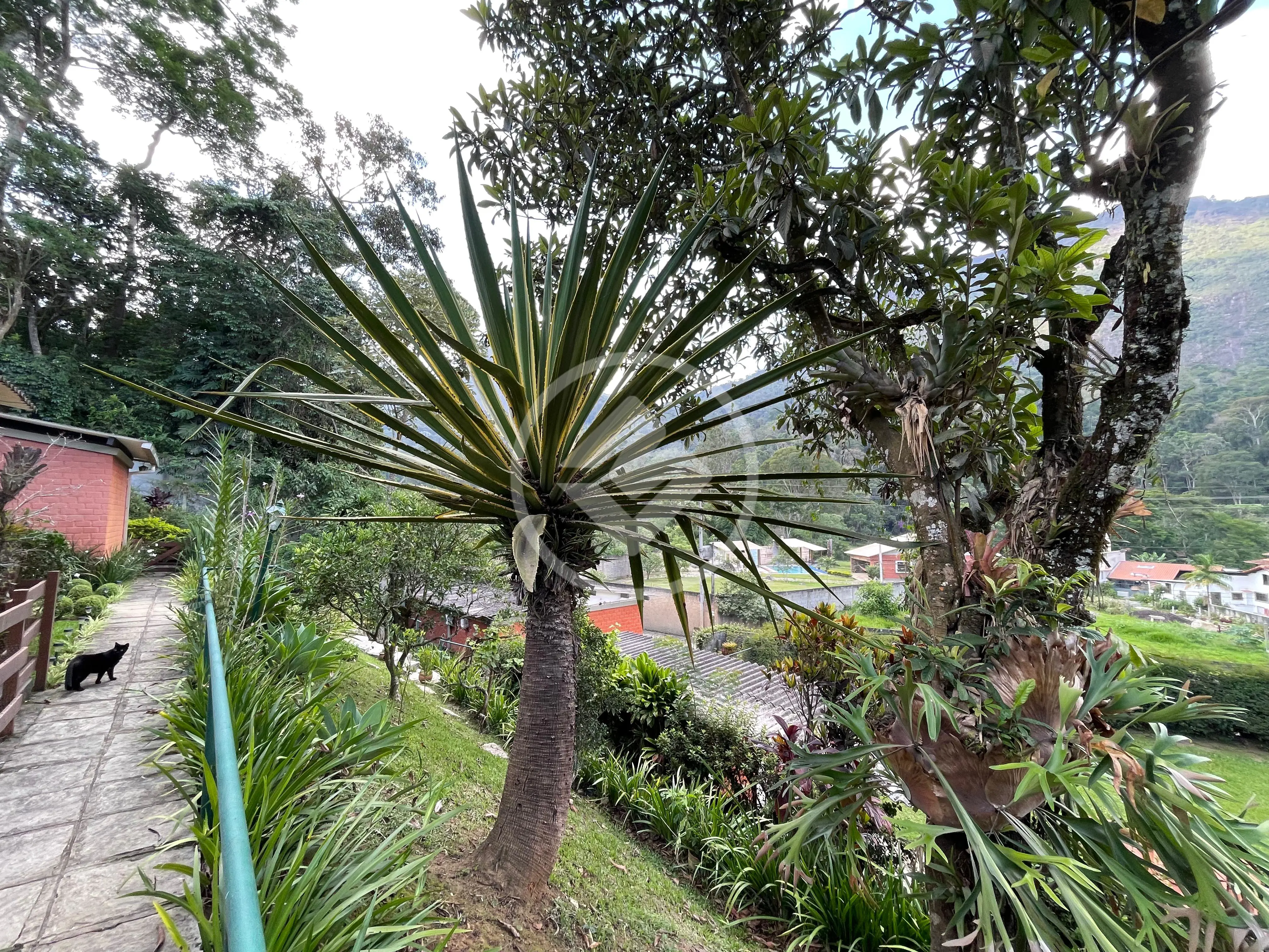 Image 41 - Casa Condomínio em Posse, Teresópolis - RJ