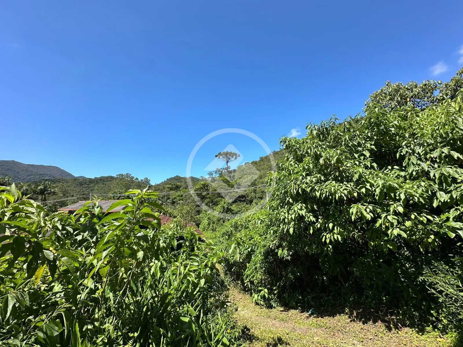 Imagem 1 - Casa em Prata dos Aredes, Teresópolis - RJ