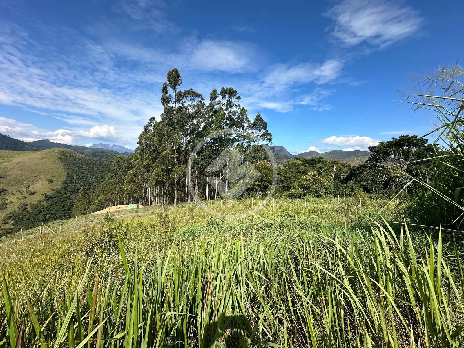 Imagem 1 - Terreno Condomínio em Pessegueiros, Teresópolis - RJ