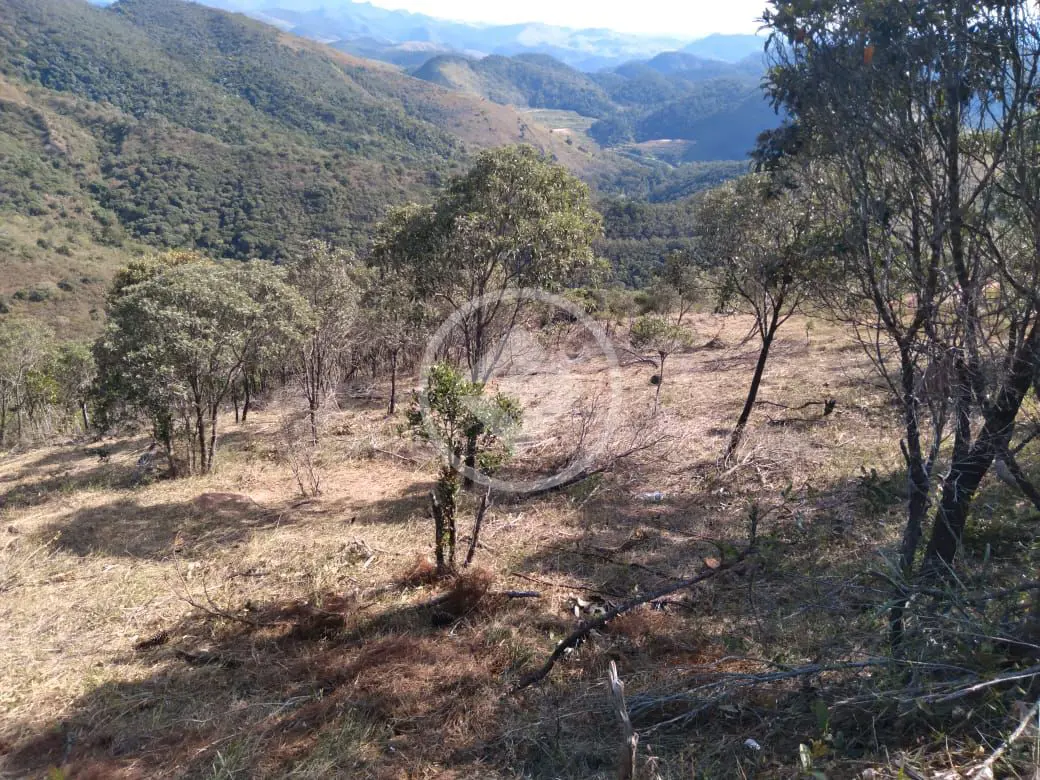 Imagem 1 - Terreno Condomínio em Pedro do Rio, Petrópolis - RJ