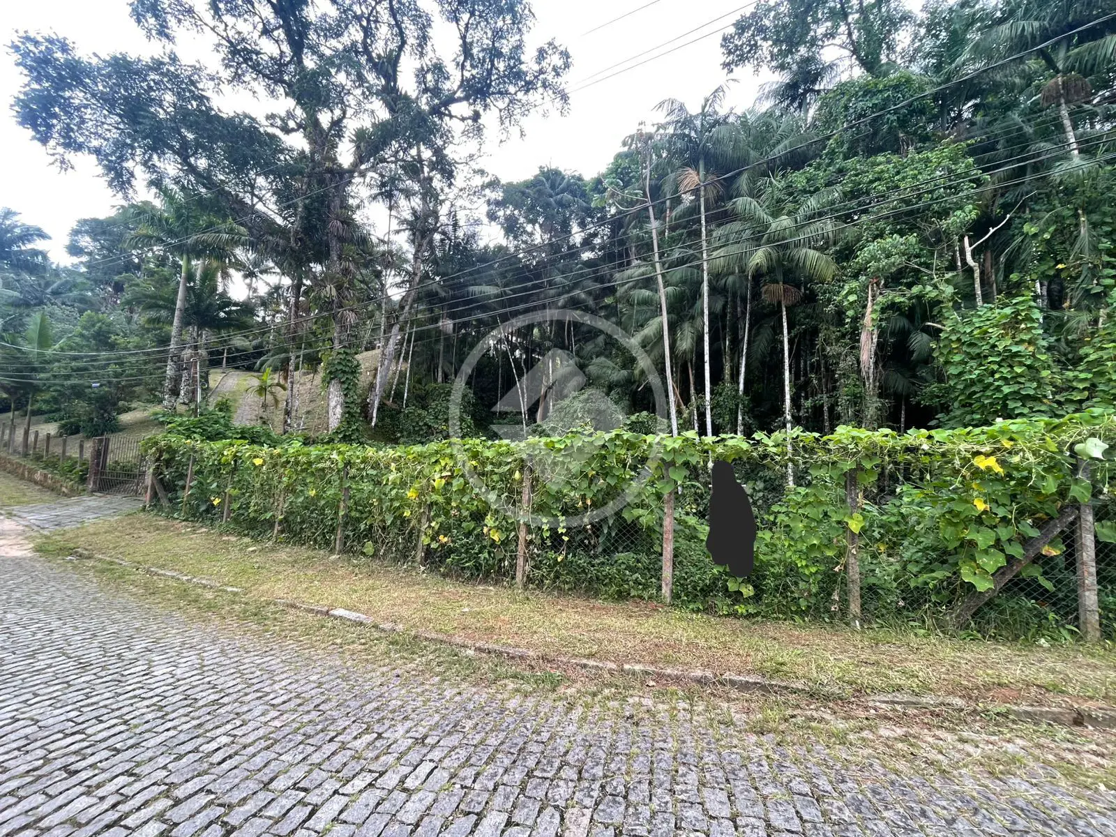 Imagem 2 - Terreno em Carlos Guinle, Teresópolis - RJ