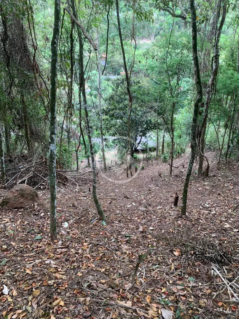 Imagem 2 - Terreno Condomínio em Pessegueiros, Teresópolis - RJ