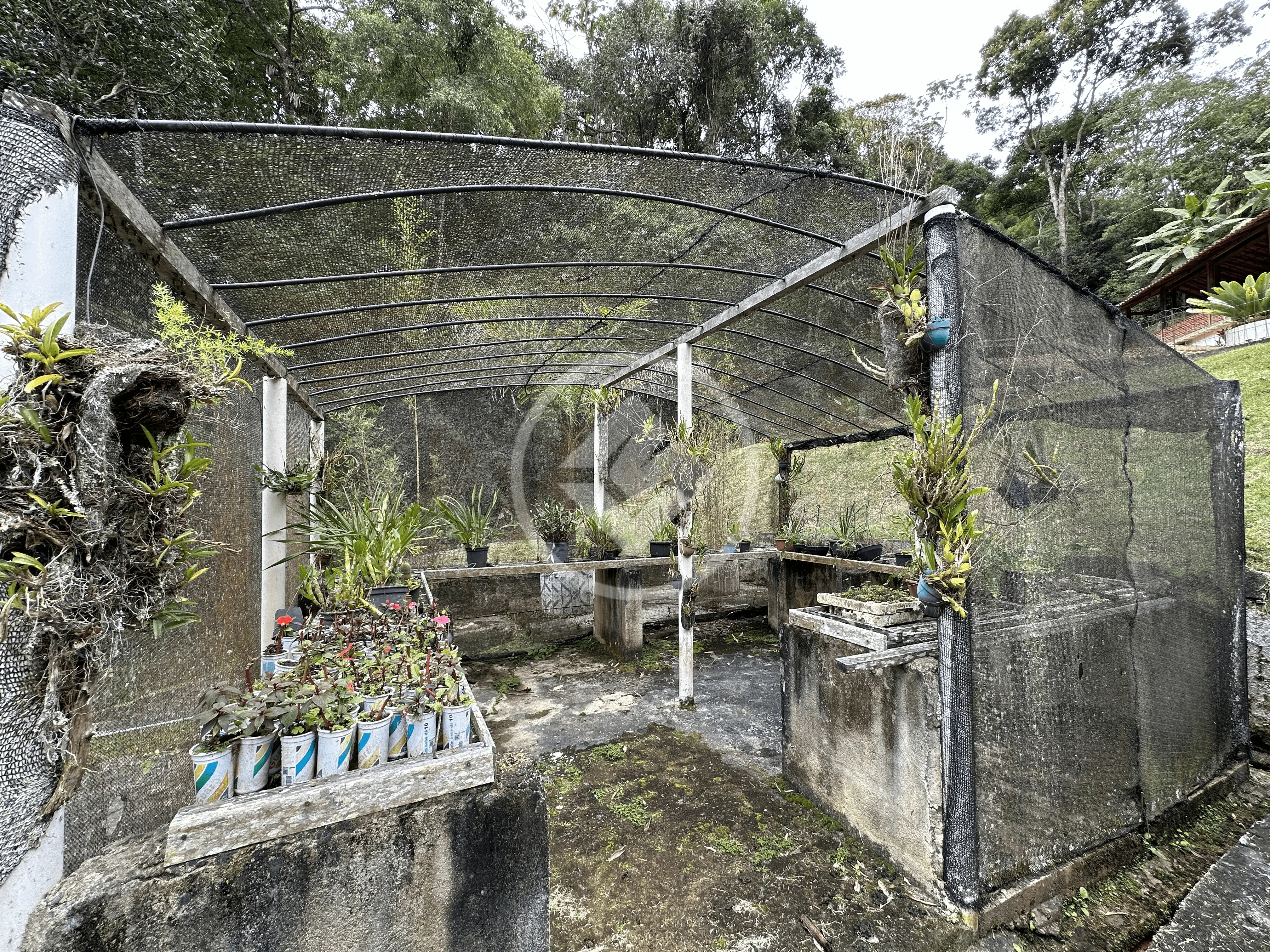 Imagem 5 - Casa em Fazenda Suiça, Teresópolis - RJ