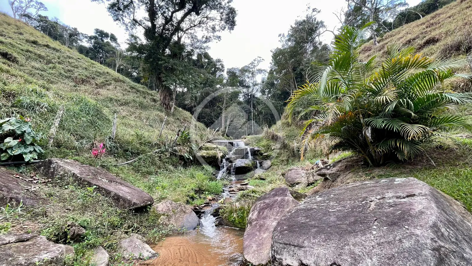 Image 126 - Fazenda em Vila do Pião, Sapucaia - RJ