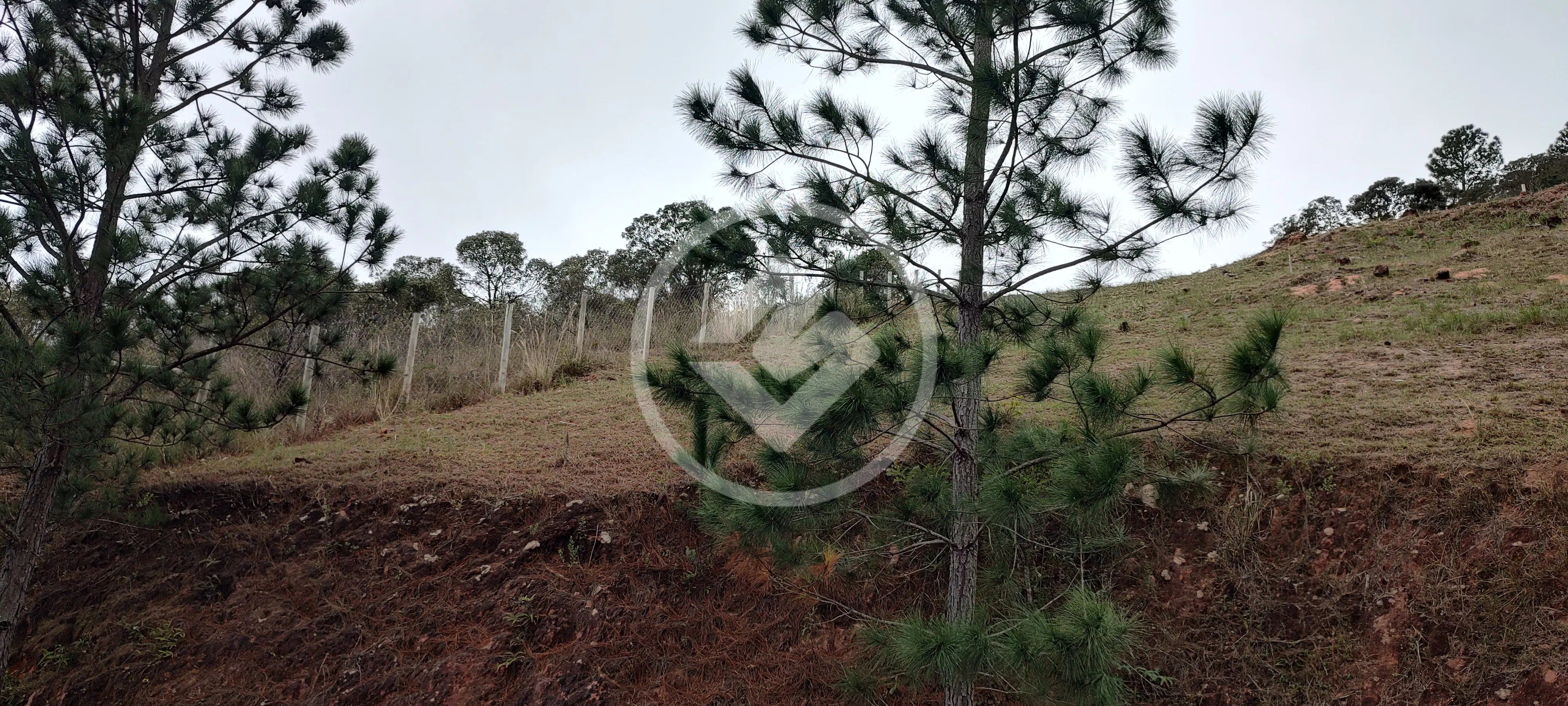 Imagem 5 - Terreno Condomínio em Pedro do Rio, Petrópolis - RJ