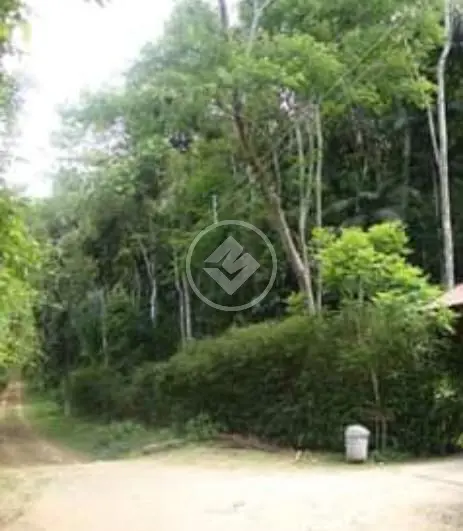 Imagem 5 - Terreno Condomínio em Fazenda Boa Fé, Teresópolis - RJ