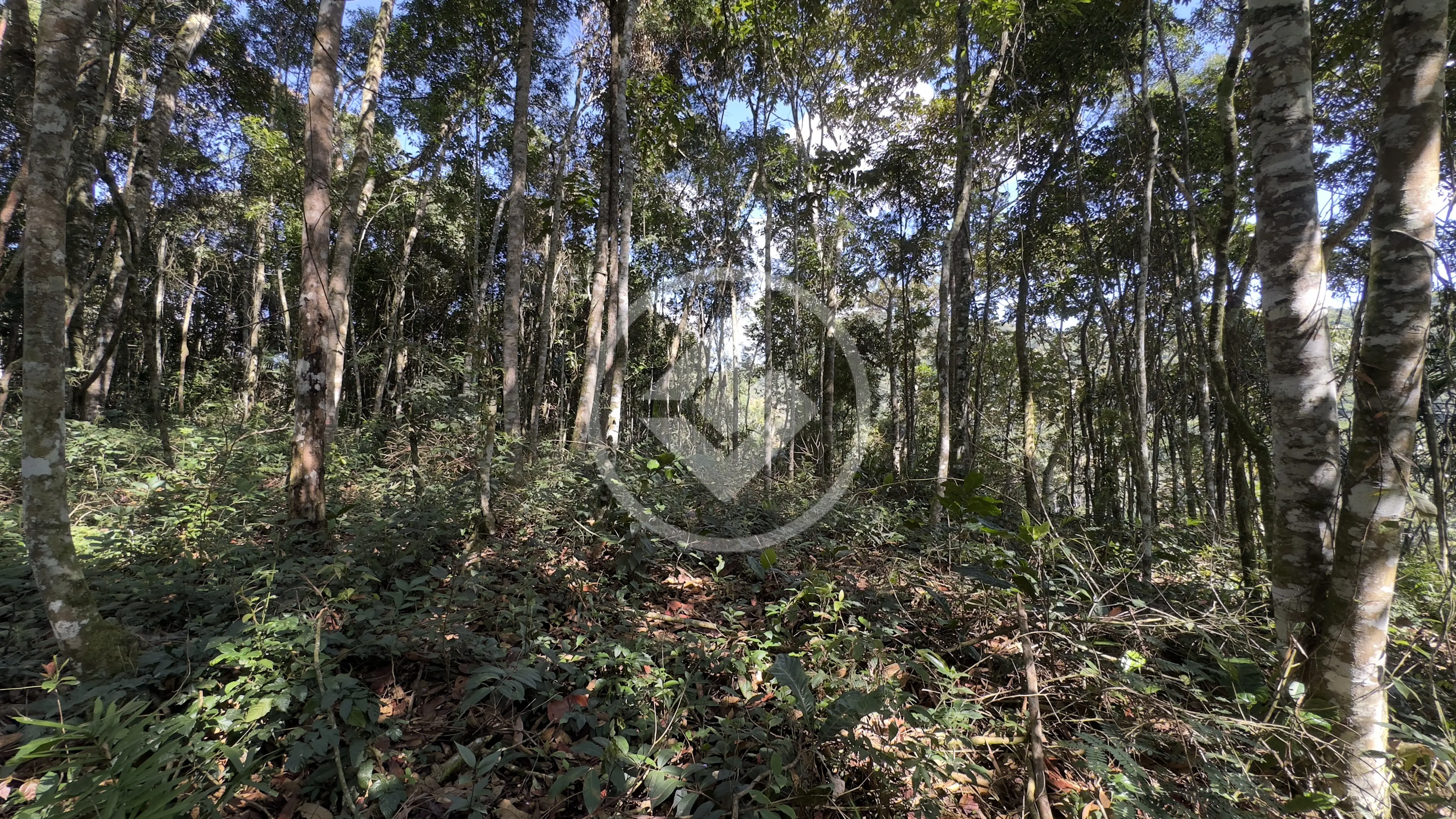 Imagem 5 - Terreno Condomínio em Fazenda Boa Fé, Teresópolis - RJ