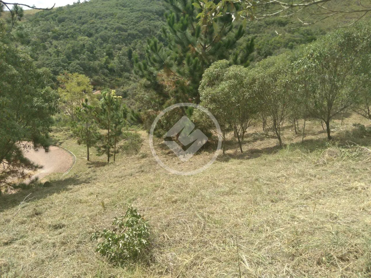 Imagem 4 - Terreno Condomínio em Pedro do Rio, Petrópolis - RJ
