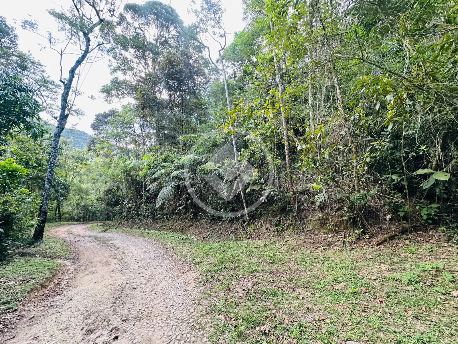 Image 11 - Terreno em Vargem Grande, Teresópolis - RJ