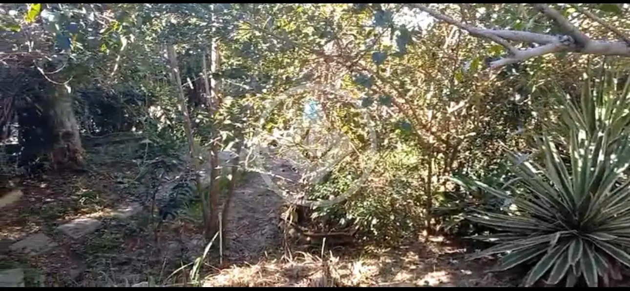 Imagem 4 - Terreno Condomínio em Albuquerque, Teresópolis - RJ
