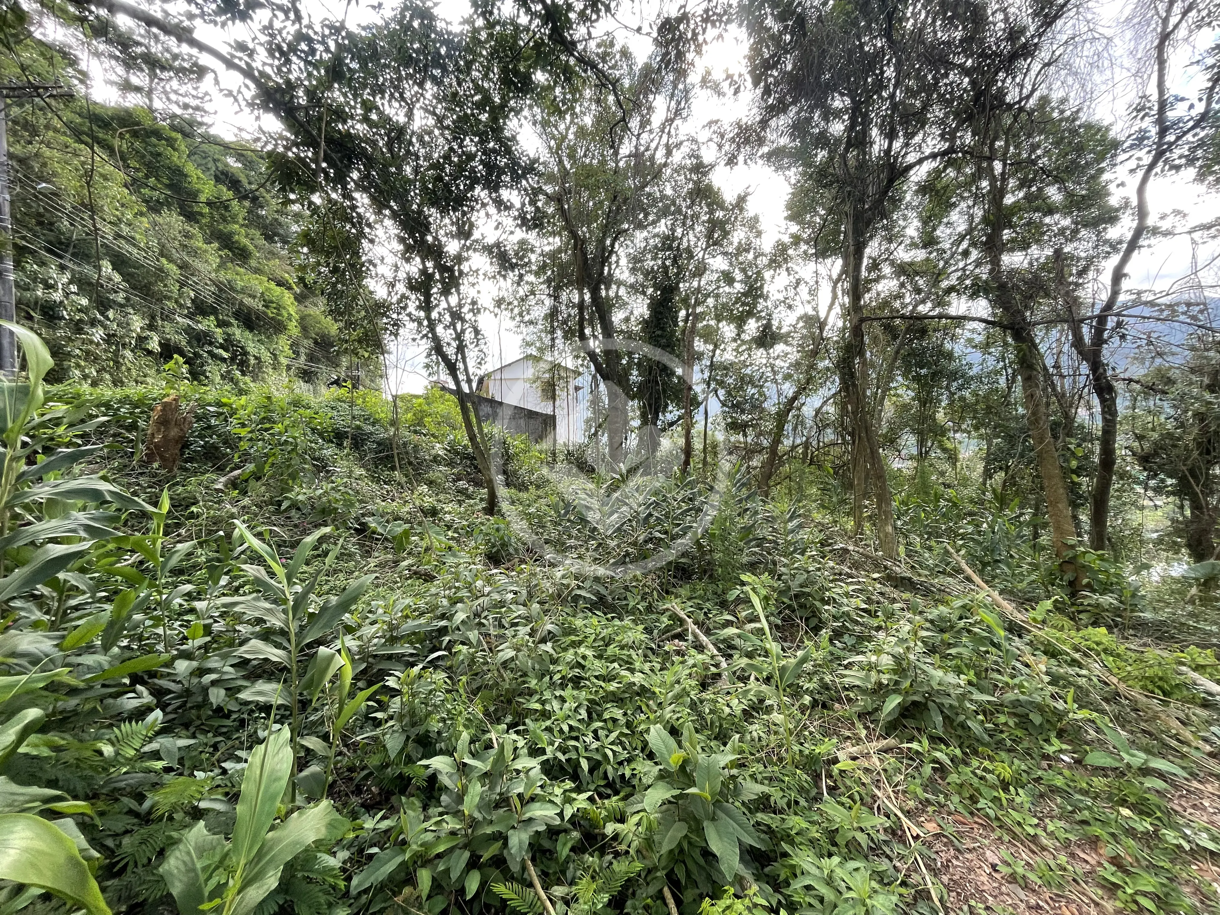 Imagem 5 - Terreno em Carlos Guinle, Teresópolis - RJ