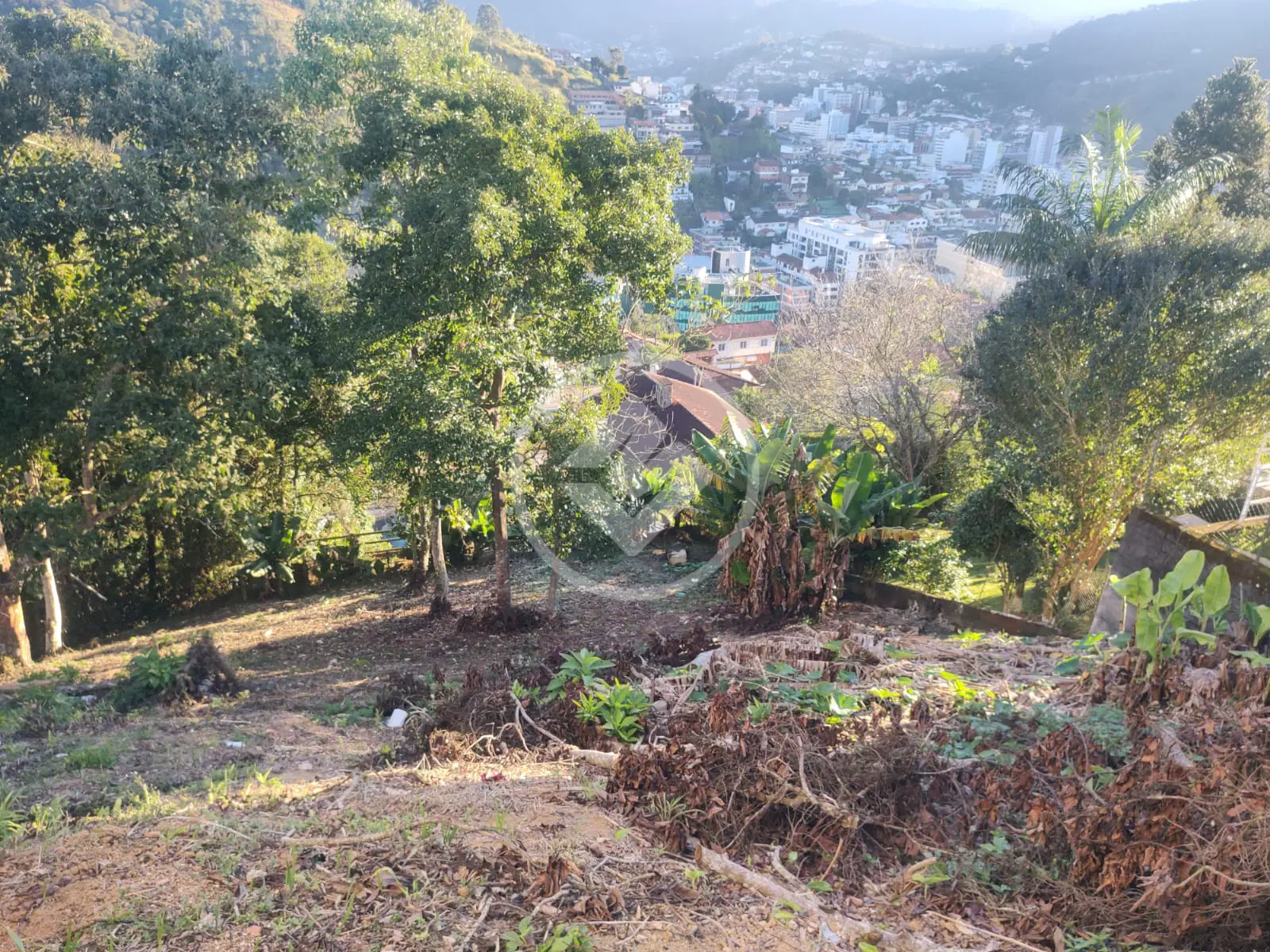 Imagem 1 - Terreno em Parque São Luiz, Teresópolis - RJ