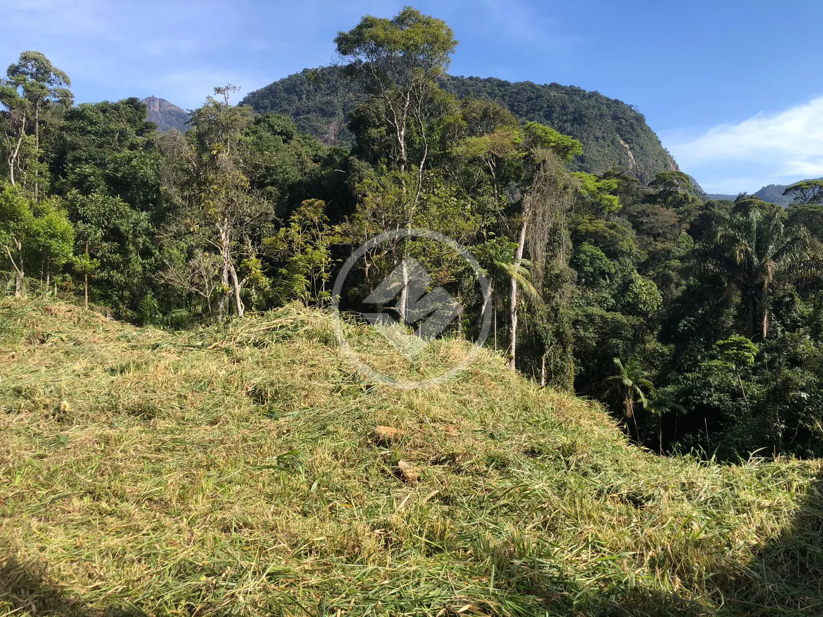 Imagem 6 - Terreno Condomínio em Carlos Guinle, Teresópolis - RJ