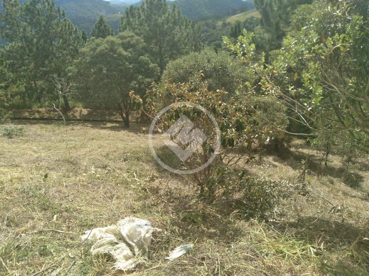 Imagem 5 - Terreno Condomínio em Pedro do Rio, Petrópolis - RJ