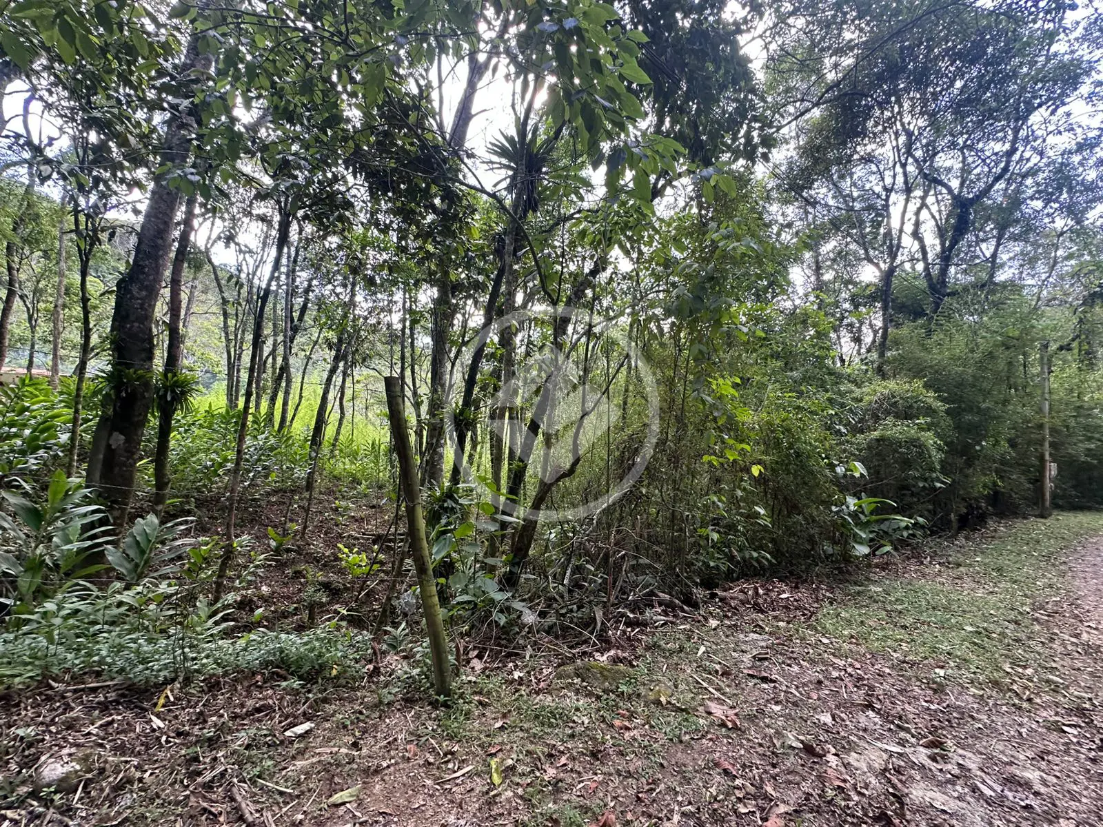 Imagem 3 - Terreno em Vargem Grande, Teresópolis - RJ