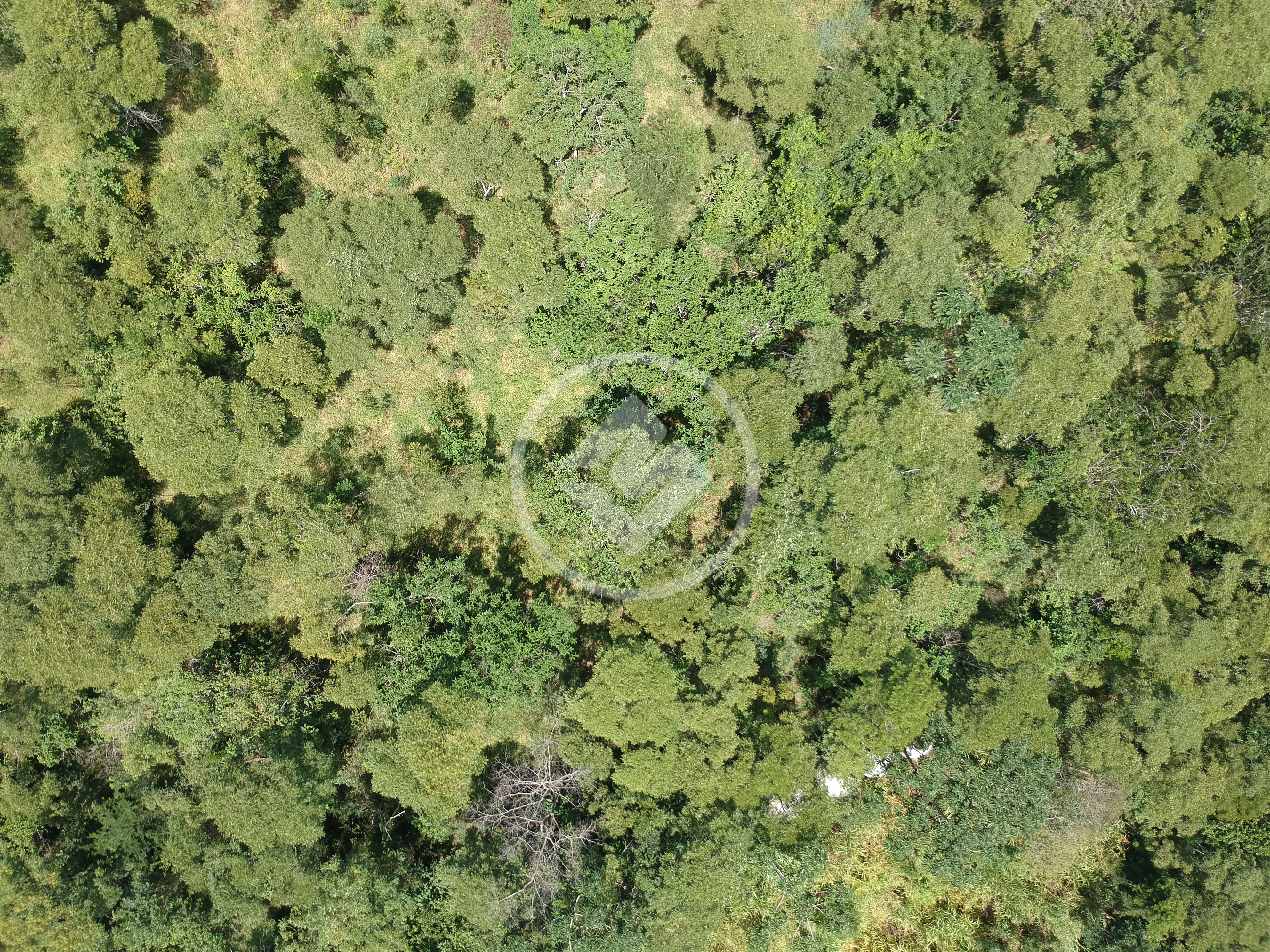 Image 37 - Casa em Itaipava, Petrópolis - RJ