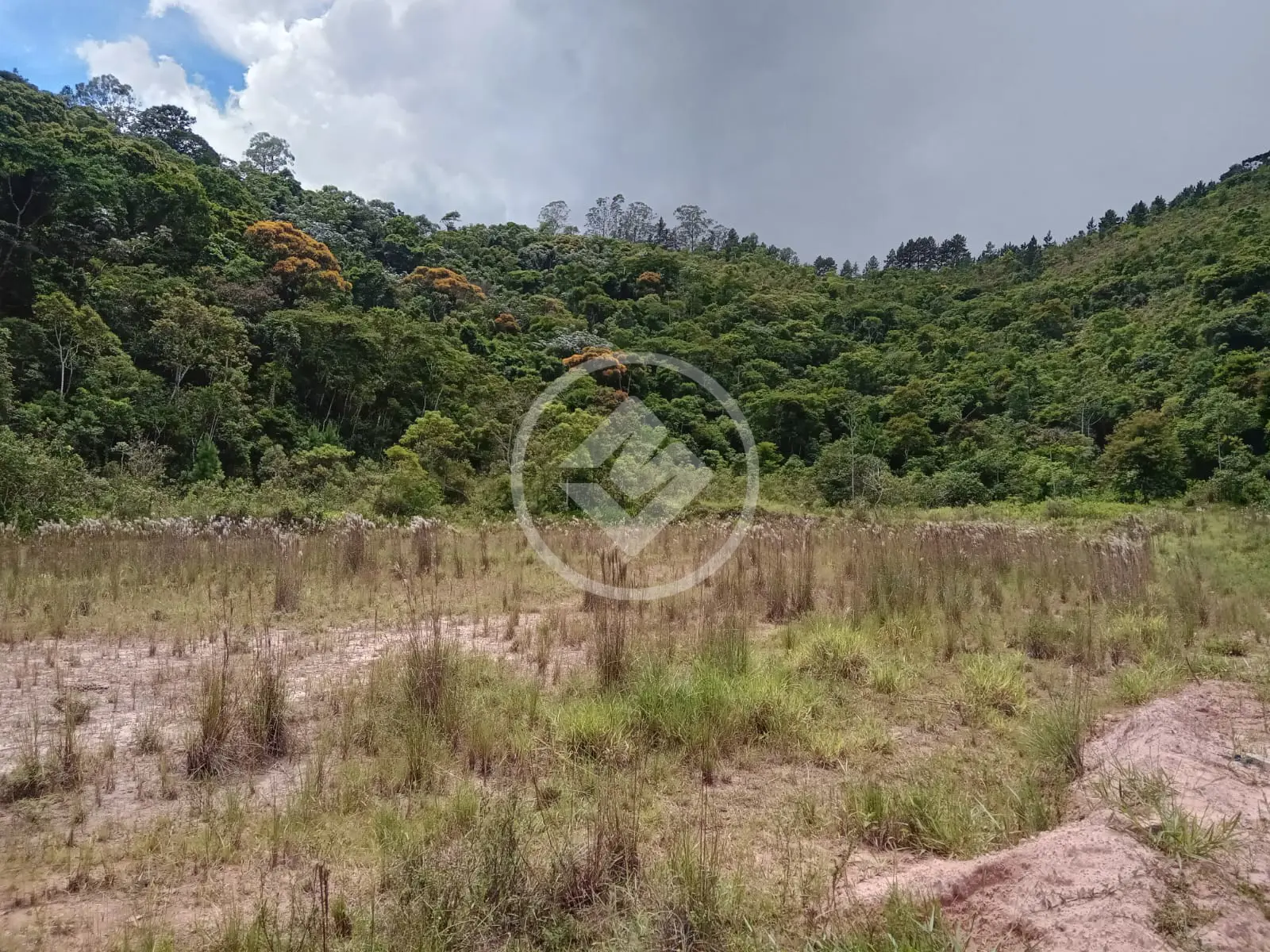 Imagem 1 - Terreno em Fazenda Alpina, Teresópolis - RJ