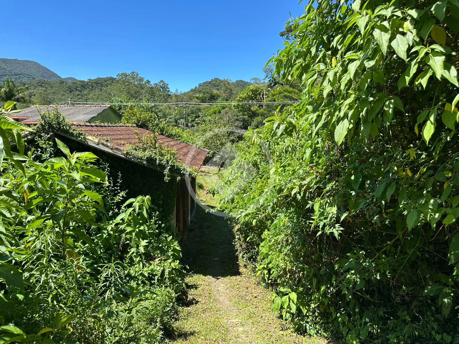 Imagem 4 - Casa em Prata dos Aredes, Teresópolis - RJ