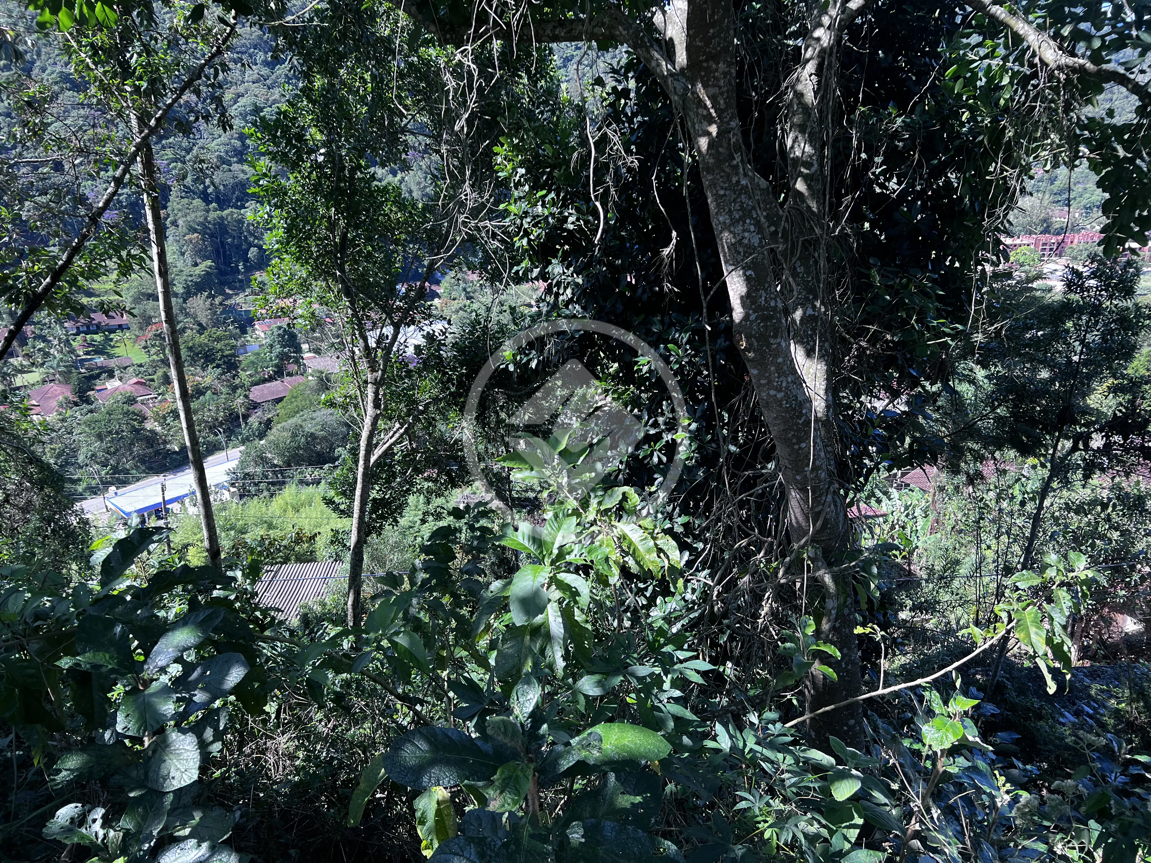 Terreno Condomínio Albuquerque, Teresópolis - RJ — foto 2