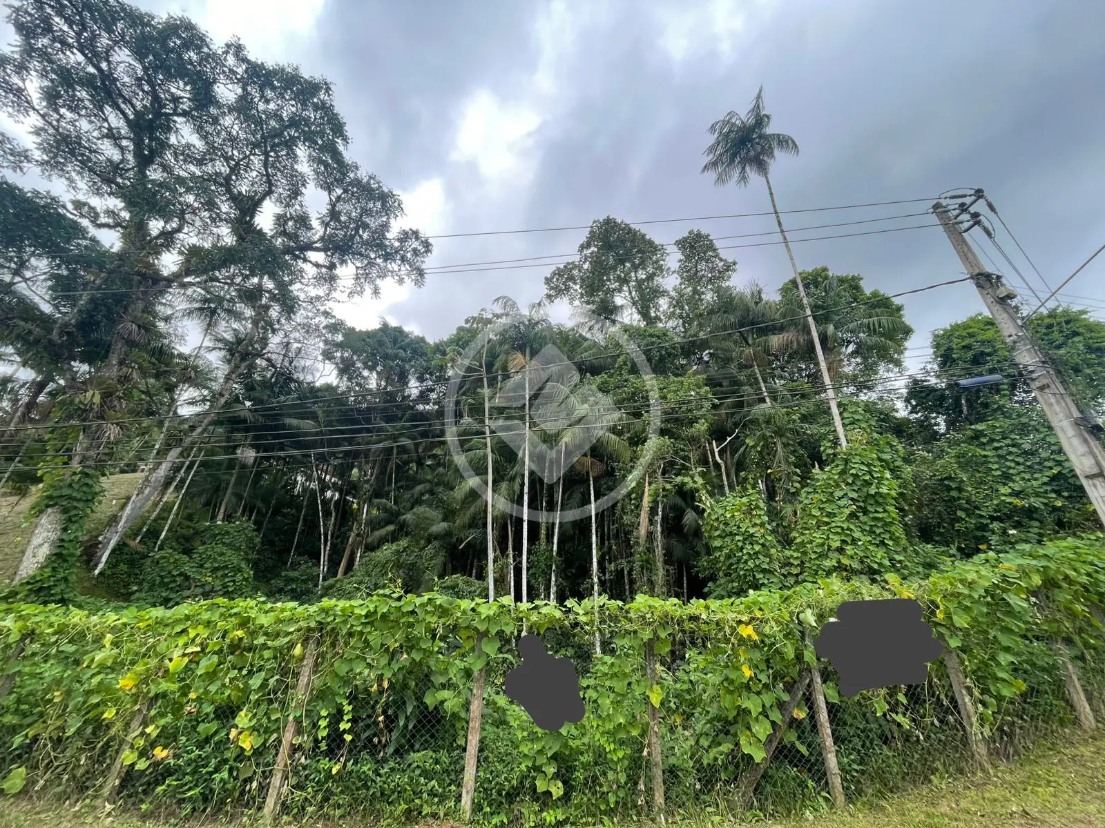 Imagem 1 - Terreno em Carlos Guinle, Teresópolis - RJ