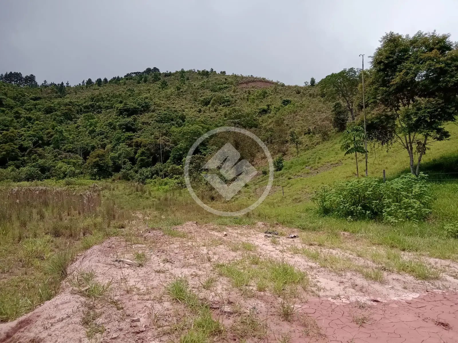 Imagem 5 - Terreno em Fazenda Alpina, Teresópolis - RJ
