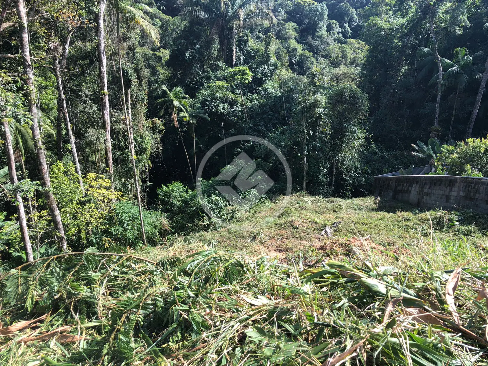 Imagem 4 - Terreno Condomínio em Carlos Guinle, Teresópolis - RJ