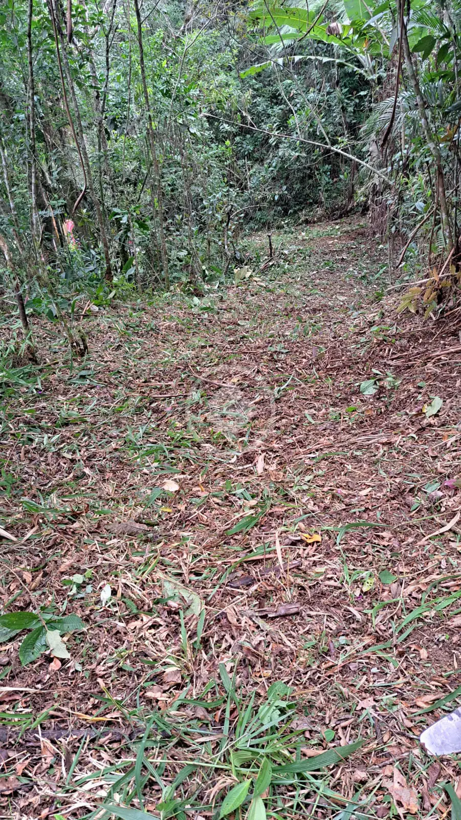 Image 8 - Terreno em Vargem Grande, Teresópolis - RJ