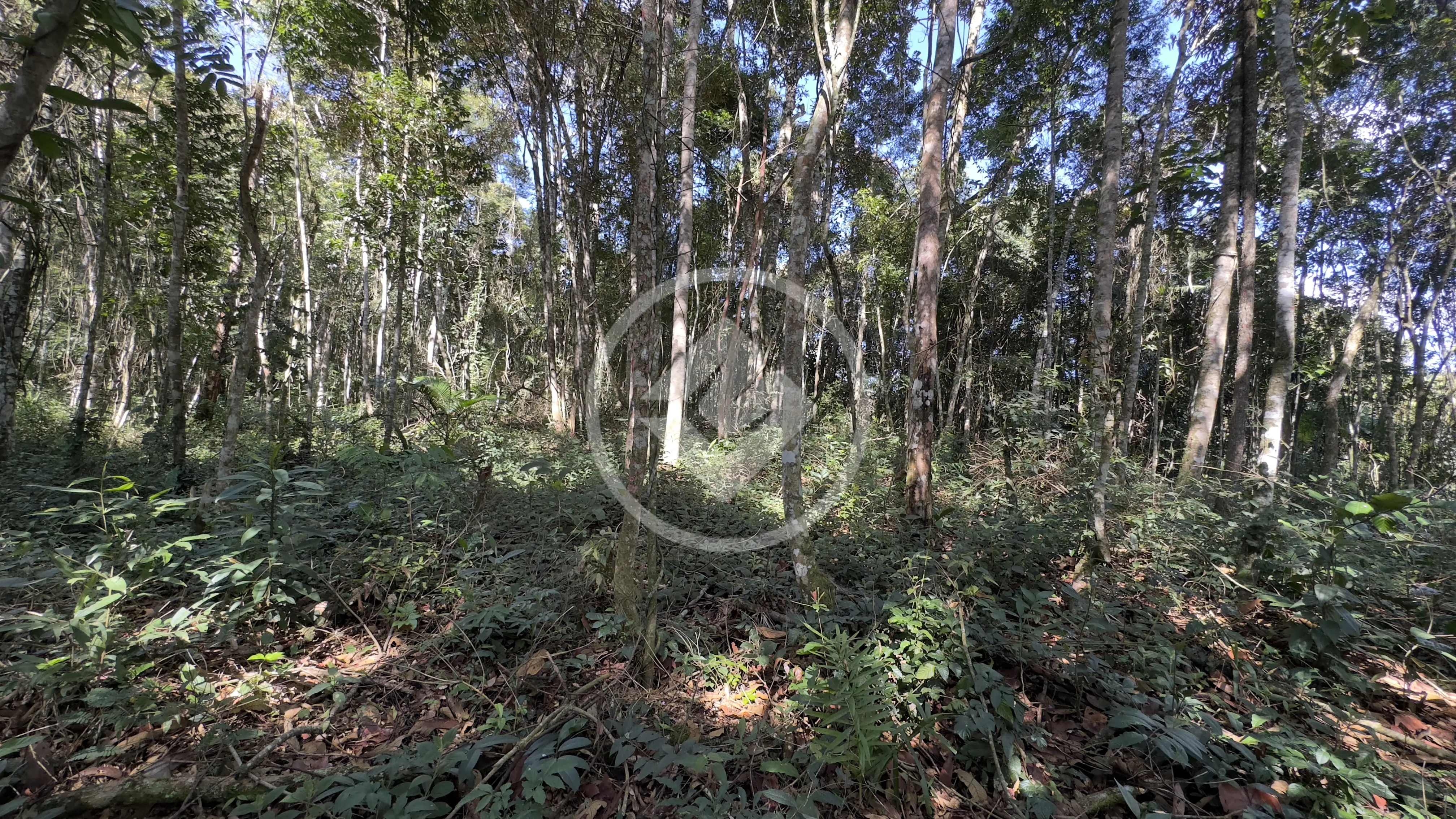 Imagem 2 - Terreno Condomínio em Fazenda Boa Fé, Teresópolis - RJ