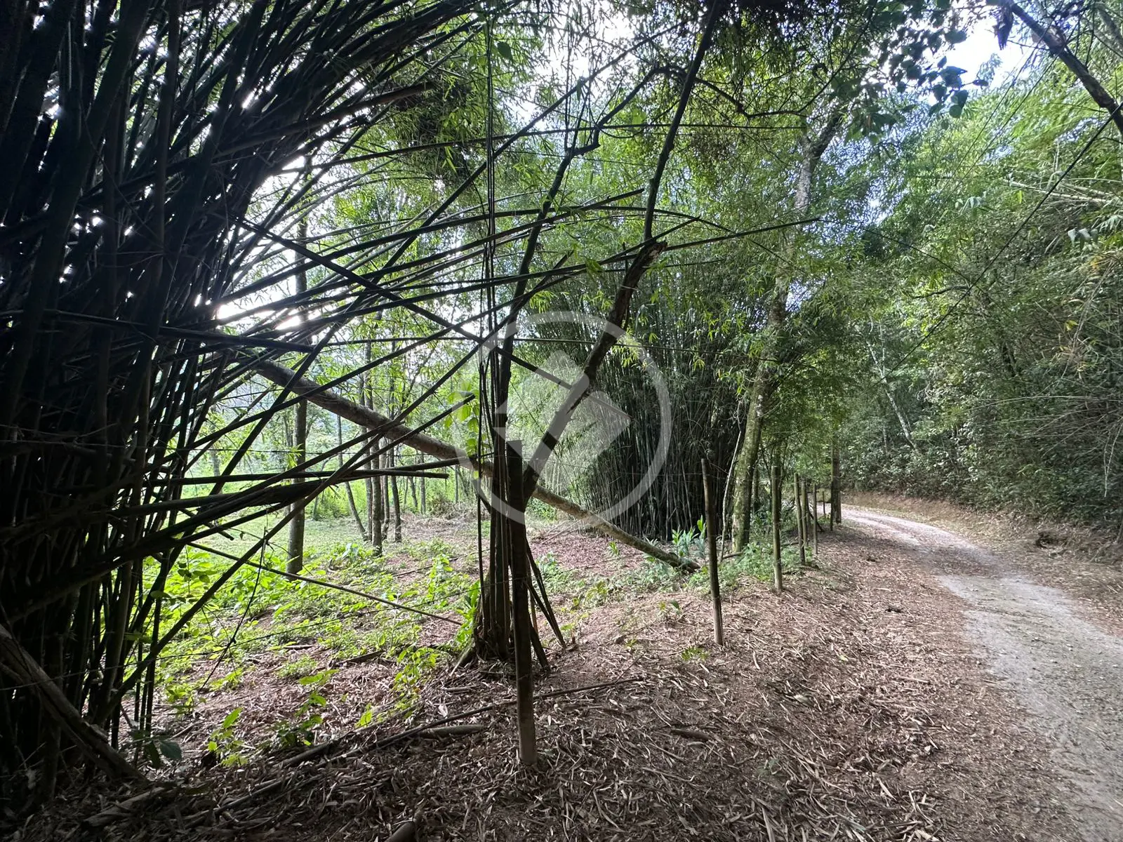 Imagem 5 - Terreno em Vargem Grande, Teresópolis - RJ