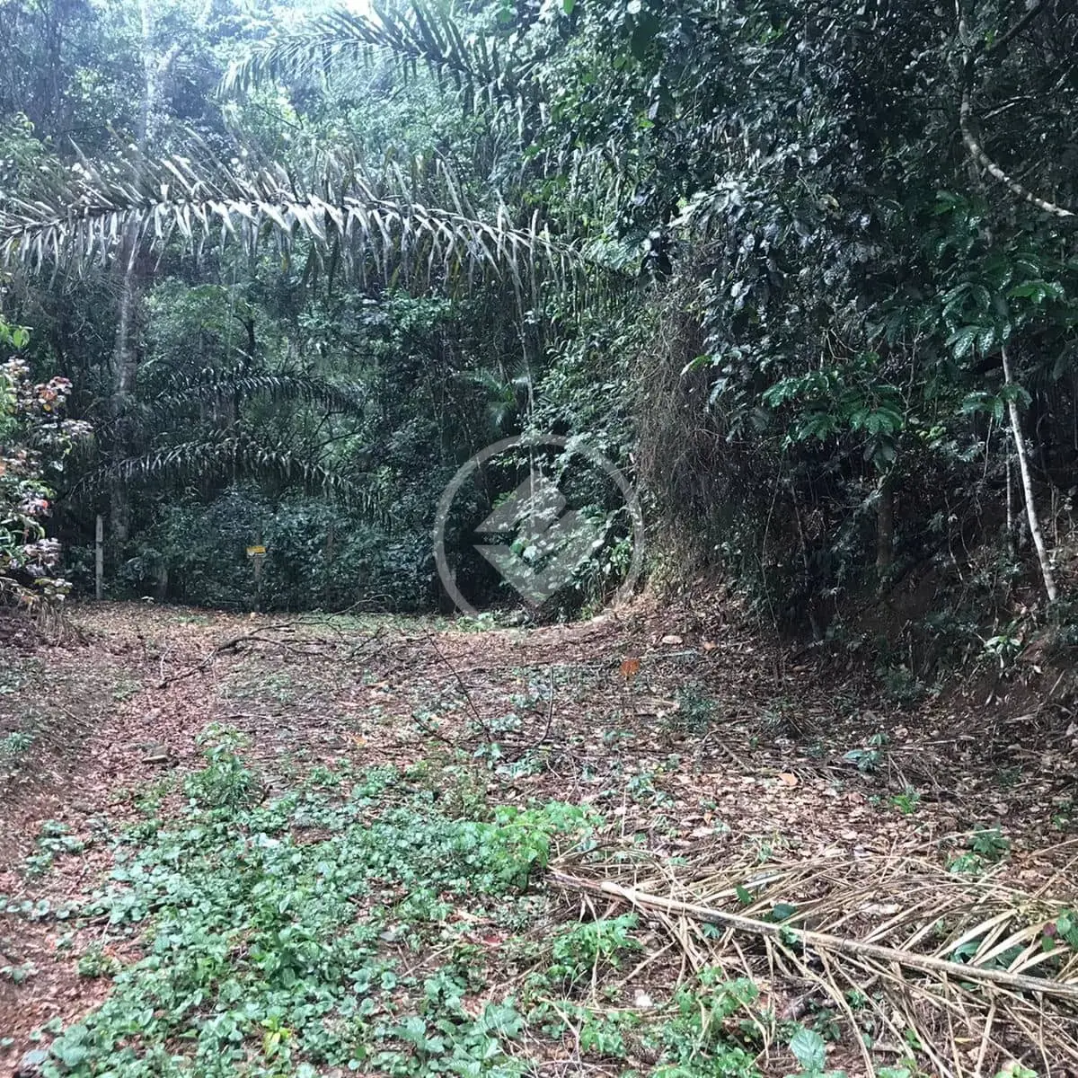 Imagem 2 - Terreno Condomínio em Fazenda Boa Fé, Teresópolis - RJ