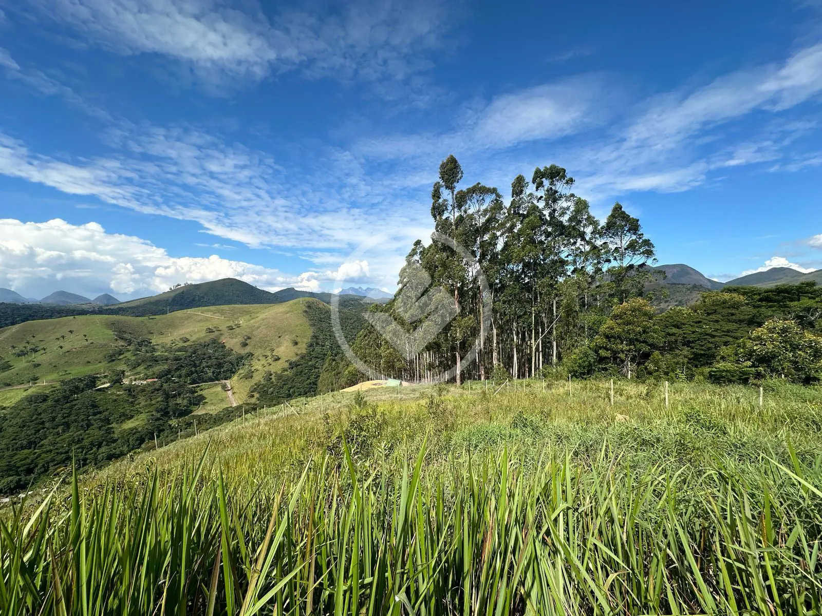 Imagem 5 - Terreno Condomínio em Pessegueiros, Teresópolis - RJ
