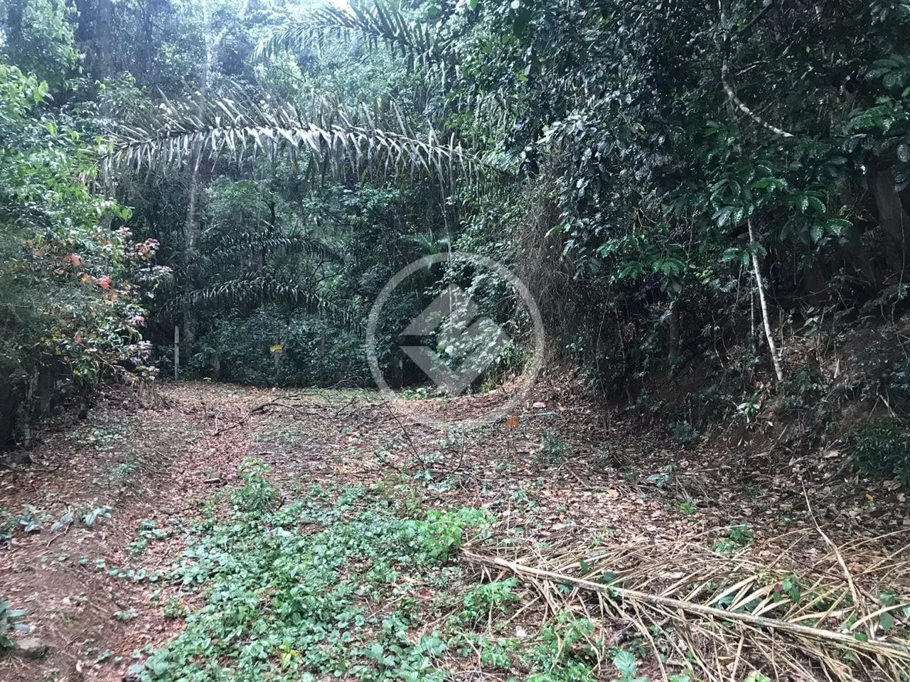 Imagem 2 - Terreno Condomínio em Fazenda Boa Fé, Teresópolis - RJ
