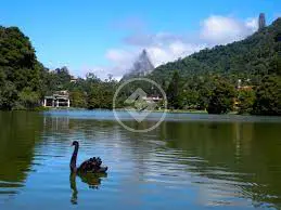 Terreno Condomínio Carlos Guinle, Teresópolis - RJ — foto 2
