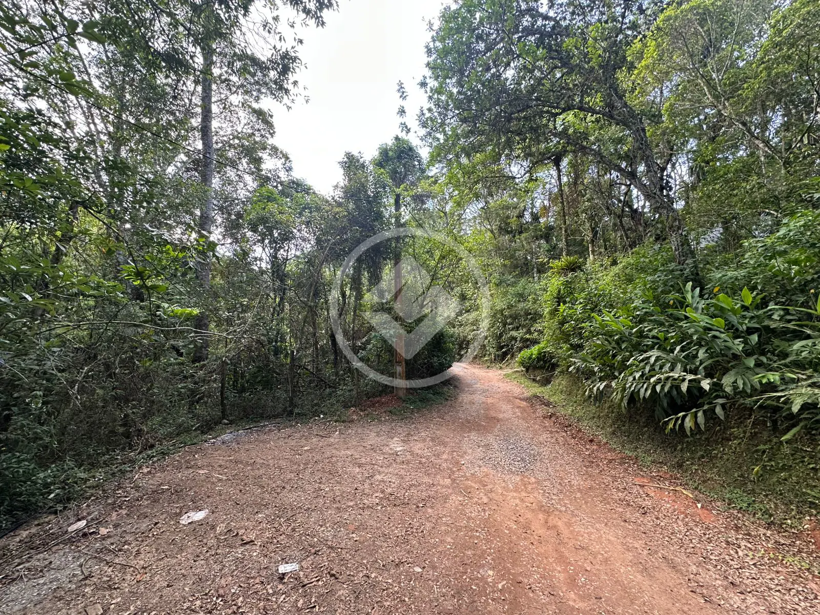 Imagem 4 - Terreno em Vargem Grande, Teresópolis - RJ