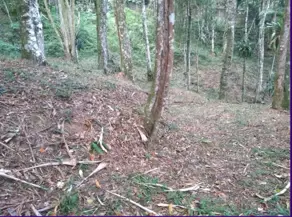 Imagem 5 - Terreno em Cascata dos Amores, Teresópolis - RJ