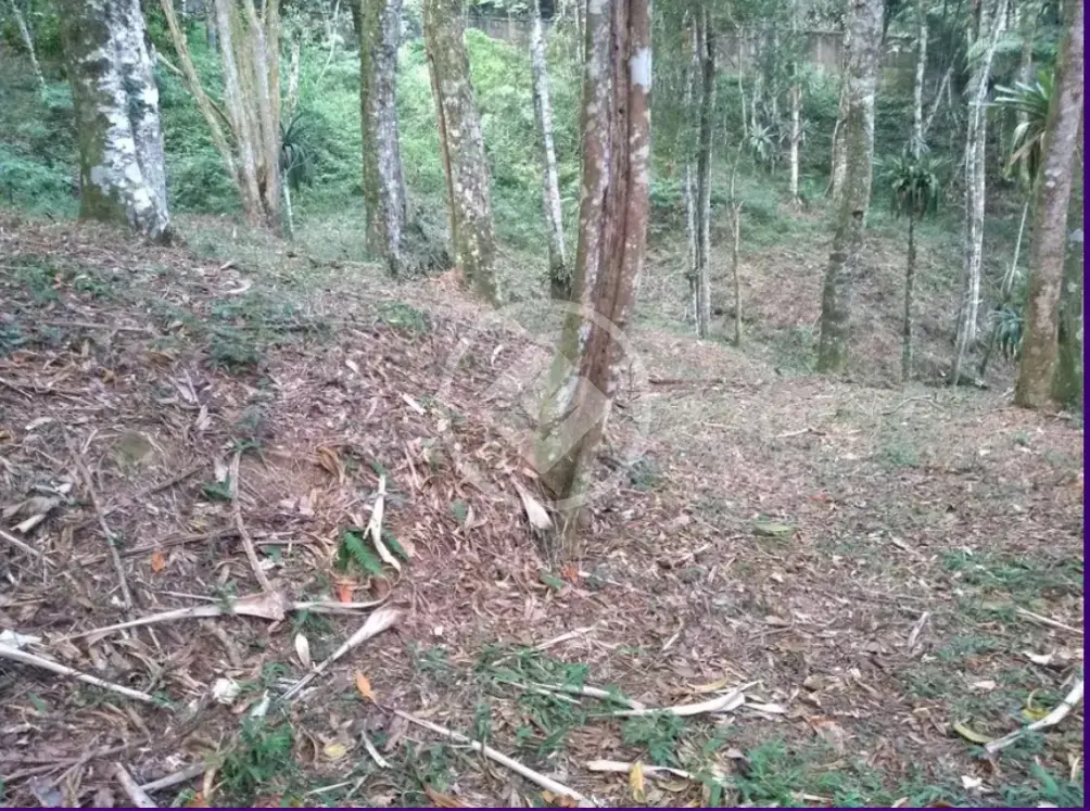 Imagem 5 - Terreno em Cascata dos Amores, Teresópolis - RJ