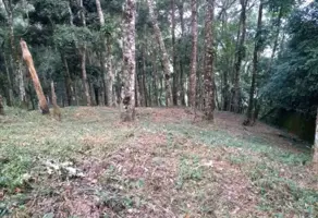 Imagem 6 - Terreno em Cascata dos Amores, Teresópolis - RJ